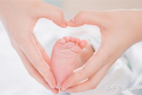 http://www.swuyanhua.cn/post/199.html|试管助孕